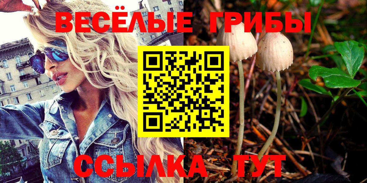 цена   Псилоцибиновые грибы мицелий  Вход с VPN  Славянск-на-Кубани 